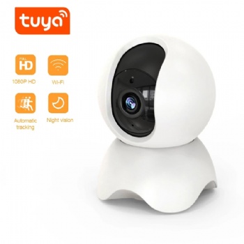 Tuya Smart TY-S2-Z0