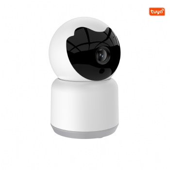 Tuya Smart TY-S2-C0